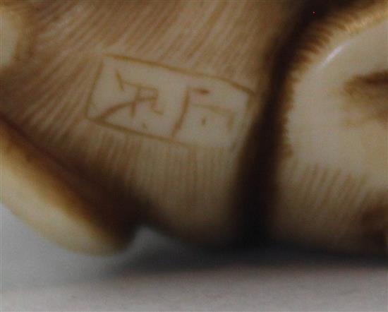 A Japanese ivory netsuke of a monkey viewing an insect through a magnifying glass, signed Masatami, Edo period, 3.6cm